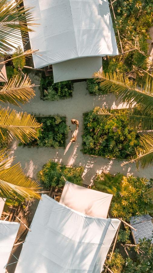 La Cocoteraie Ecolodge - Luxury Glamping Tents Quần đảo Gili Ngoại thất bức ảnh