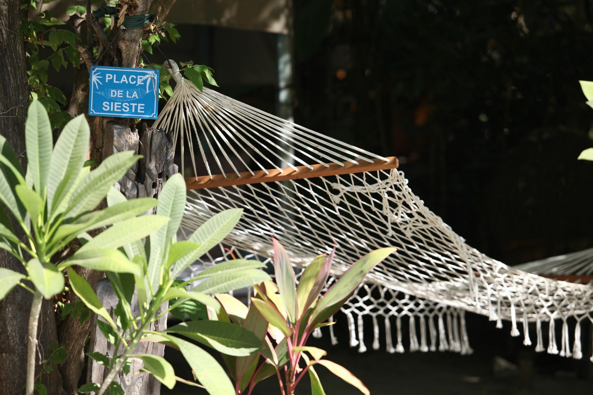 La Cocoteraie Ecolodge - Luxury Glamping Tents Quần đảo Gili Ngoại thất bức ảnh